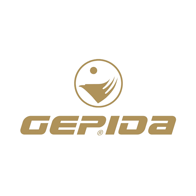 Gepida Fahrräder